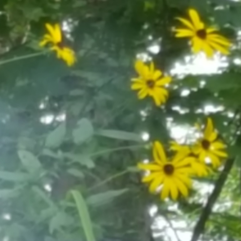 Meet your Posher, Hope